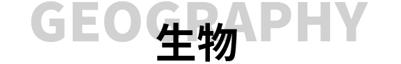 西安佳成補習學校_西安高考補習,西安初三補習,高三全日制補習,初三全日制補習,高三復讀補習學校